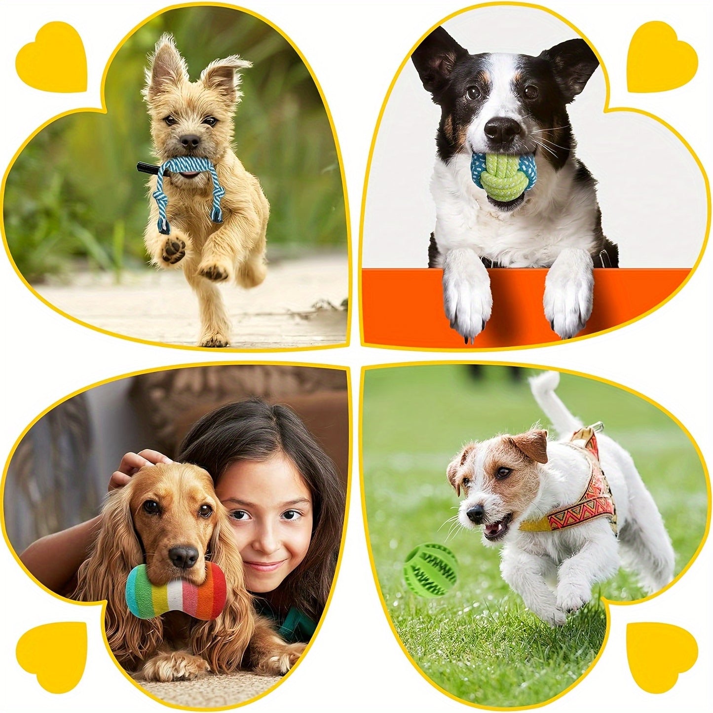 25pcs Dog Chew Toys